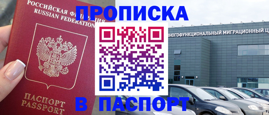 прописка для школы в Лосино-Петровском